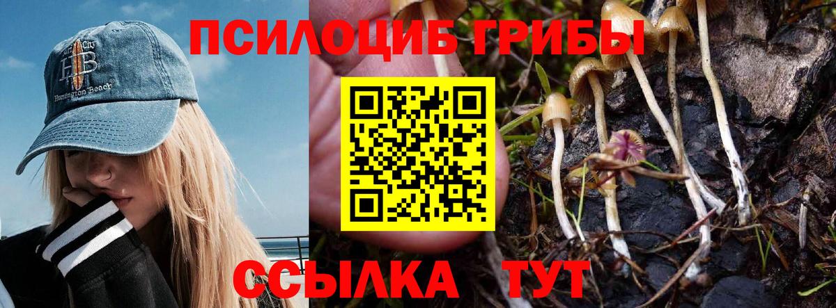 Галлюциногенные грибы прущие грибы  где продают наркотики  Ревда  Псилоцибиновые грибы GOLDEN TEACHER  Вход с VPN 